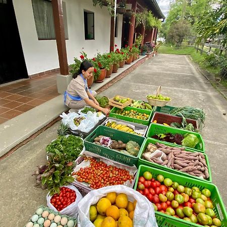 莫尼基拉 Posada Del Camino Real旅馆 外观 照片