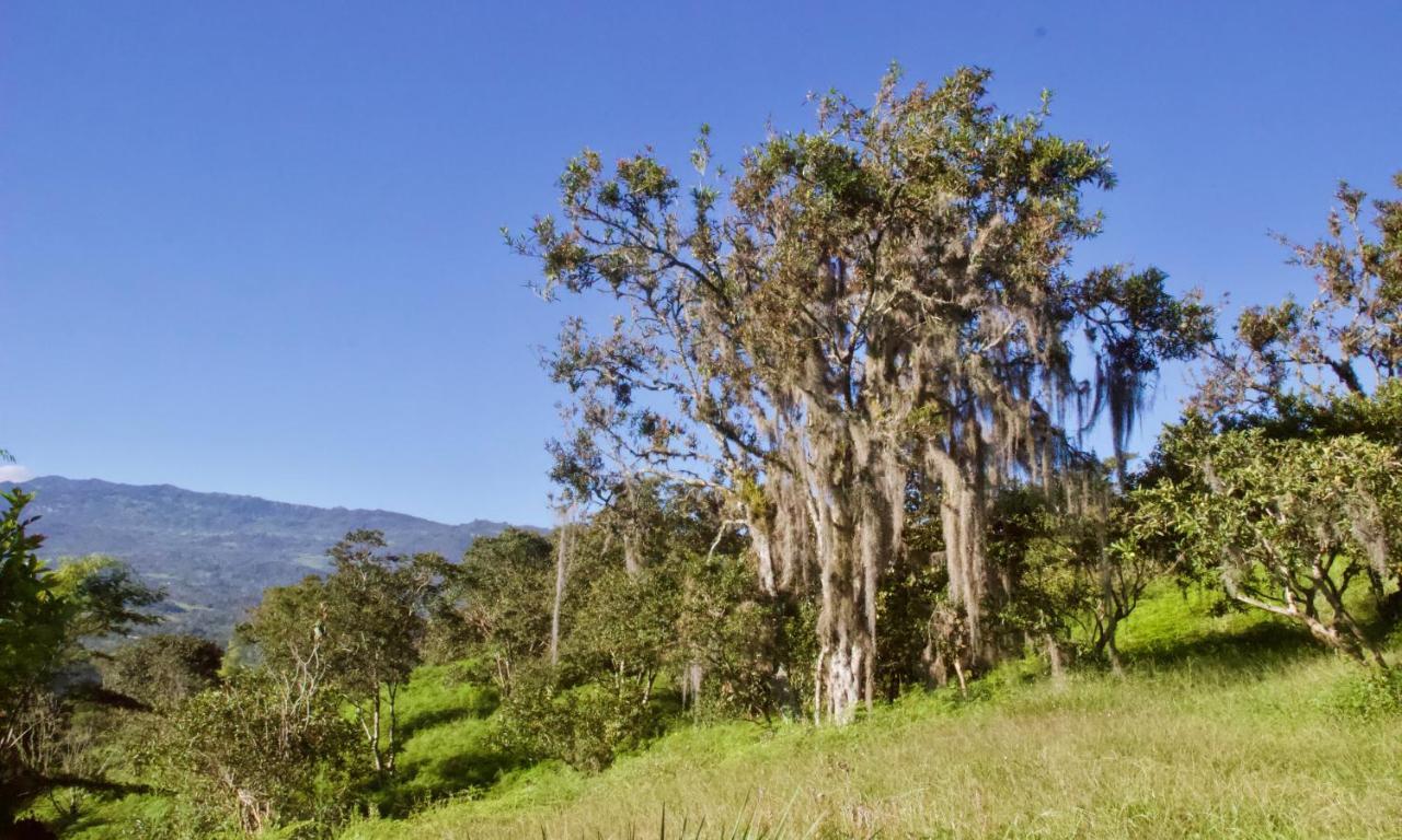 莫尼基拉 Posada Del Camino Real旅馆 外观 照片