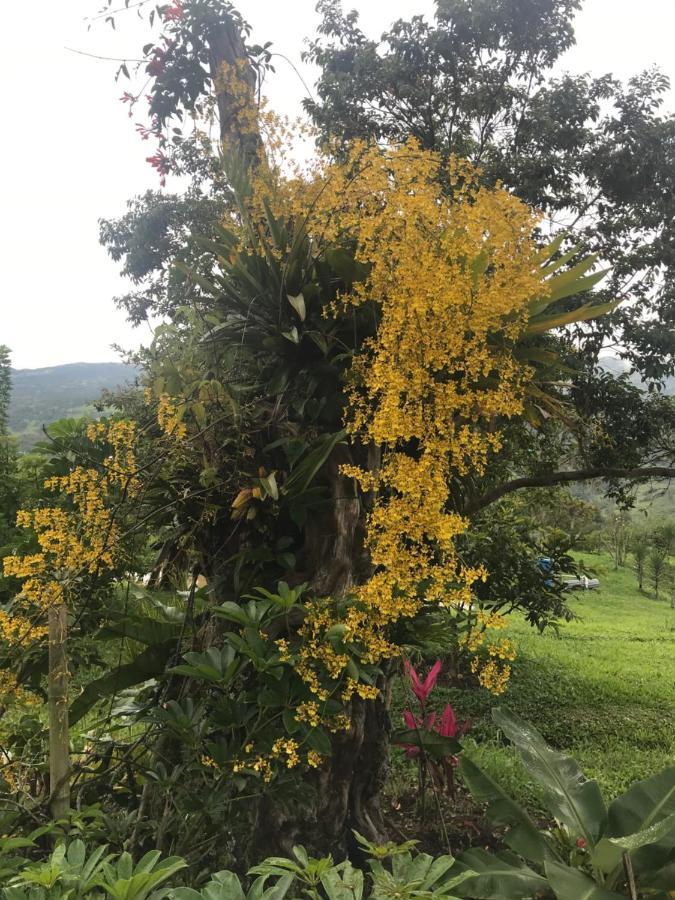 莫尼基拉 Posada Del Camino Real旅馆 外观 照片