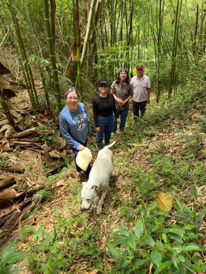 莫尼基拉 Posada Del Camino Real旅馆 外观 照片