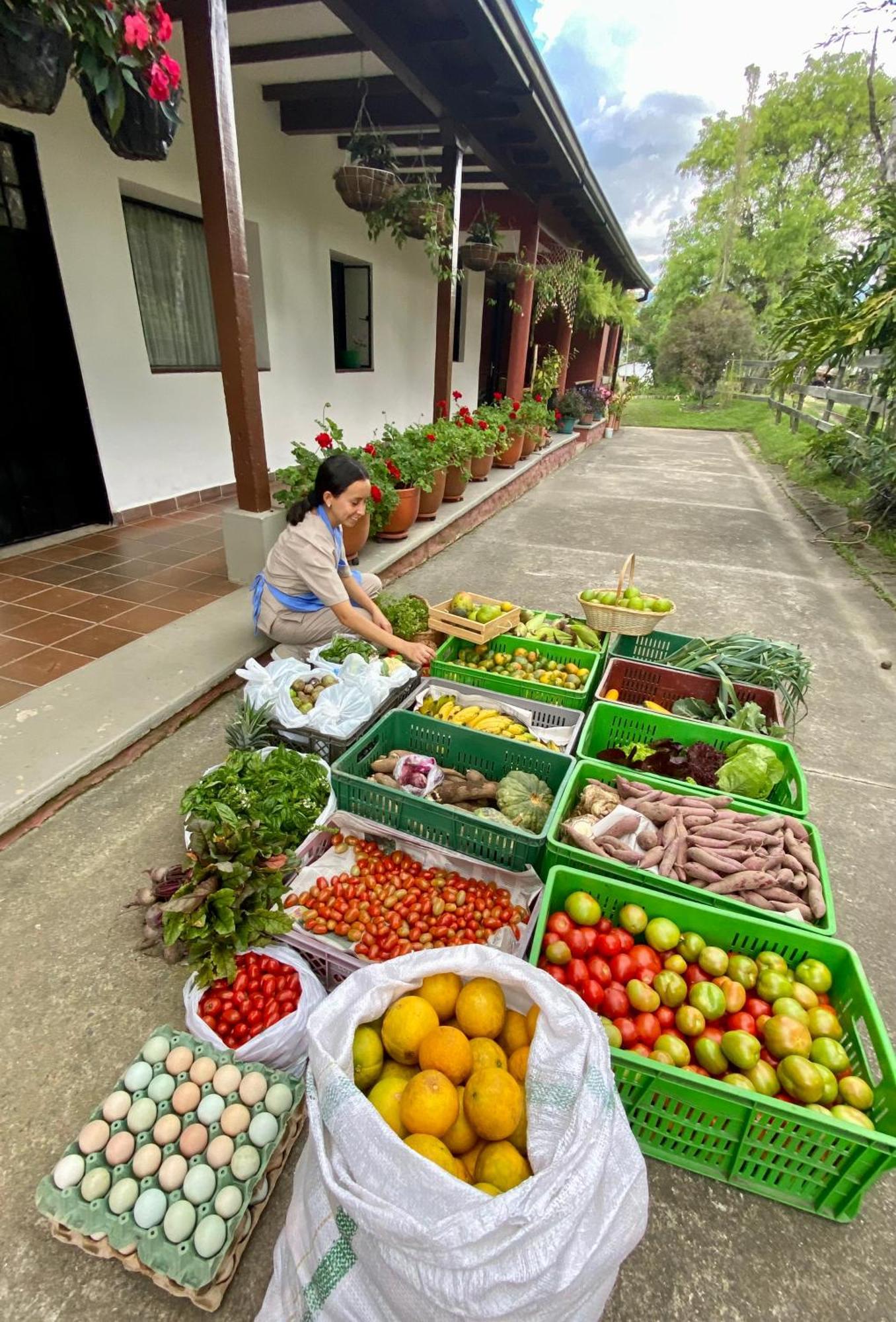 莫尼基拉 Posada Del Camino Real旅馆 外观 照片